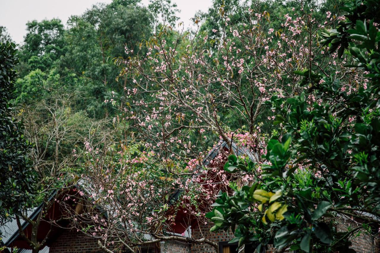 Cat Ba Spring Garden Homestay Hien Hao المظهر الخارجي الصورة
